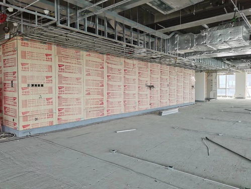 千年舟 綠色工程行 走進(jìn)北京京東集團(tuán)總部項(xiàng)目現(xiàn)場(chǎng)