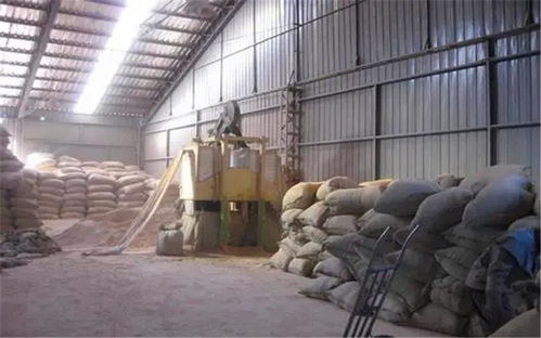 10萬以內加工廠 年入百萬的潛力項目推薦